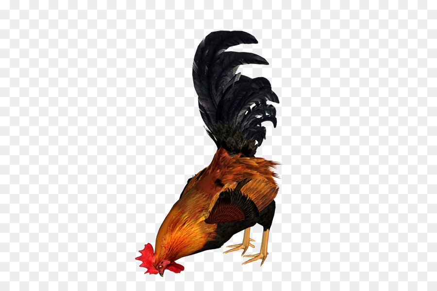 Pollo Con Astas，Pájaro PNG