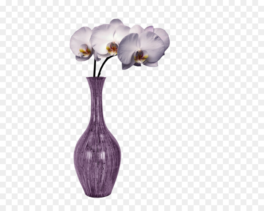 Orquídea En Florero，Flor PNG