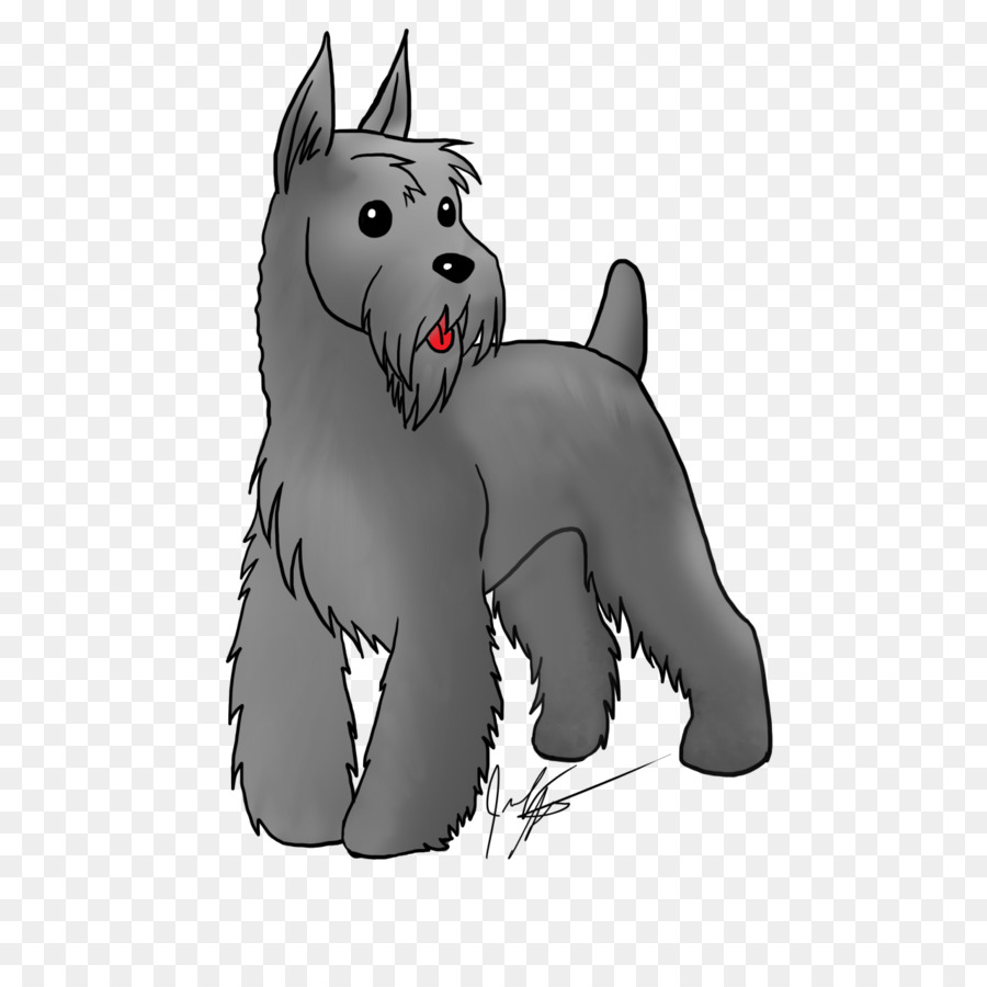 Schnauzer Miniatura，West Highland White Terrier PNG