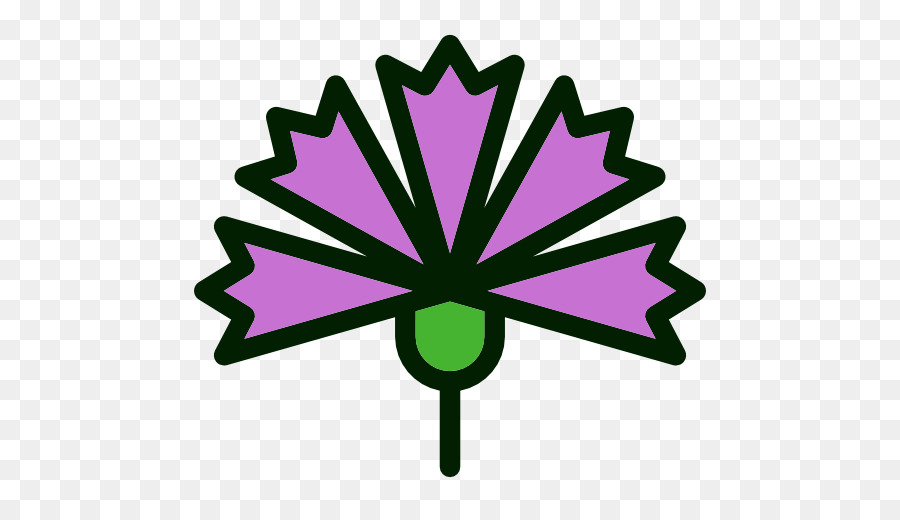 Iconos De Equipo，Flor PNG