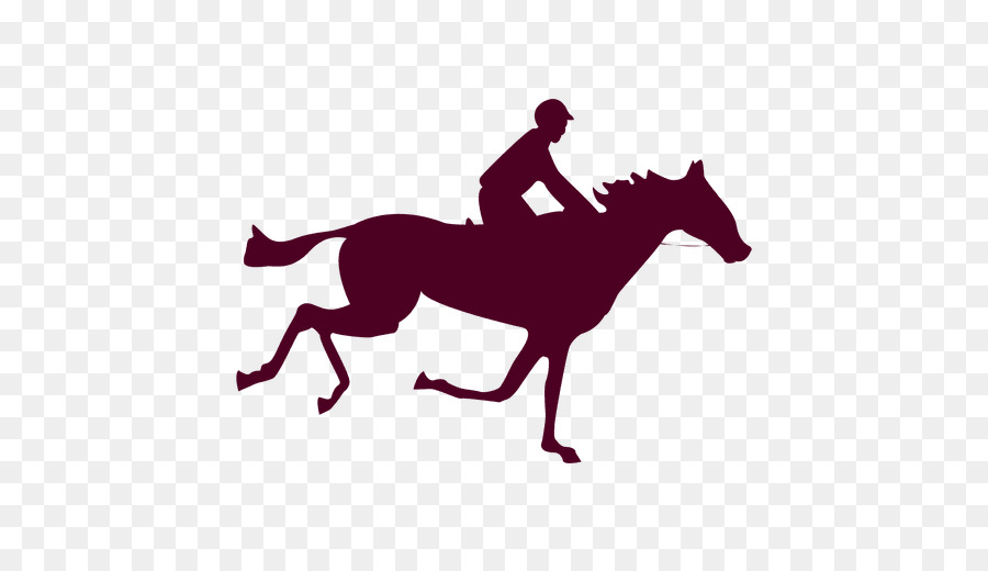 Caballo En Movimiento，La Locomoción Animal Placa 626 PNG