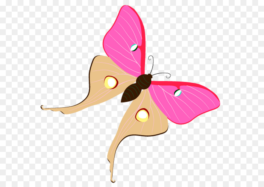 Mariposas Moradas，Naturaleza PNG