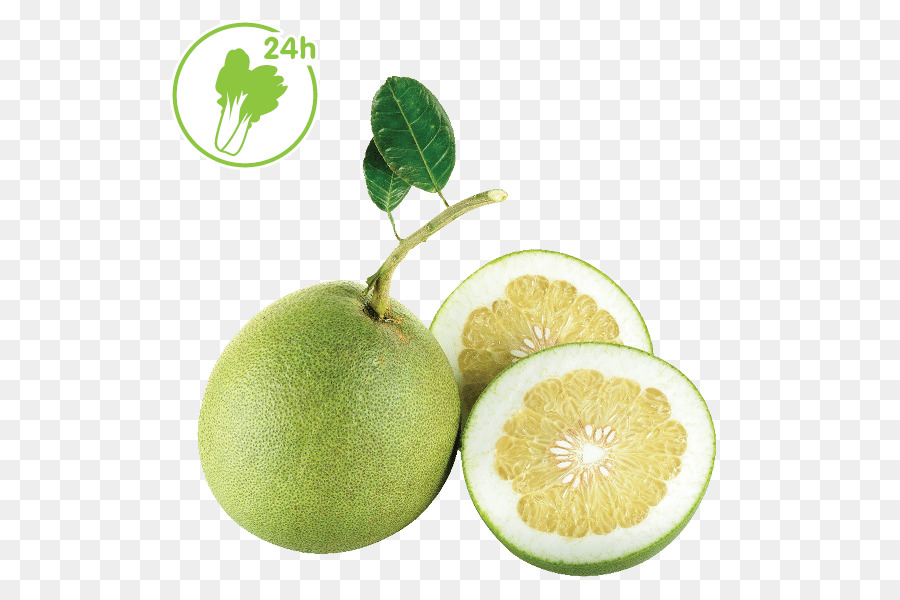 Pomelo，Verde PNG