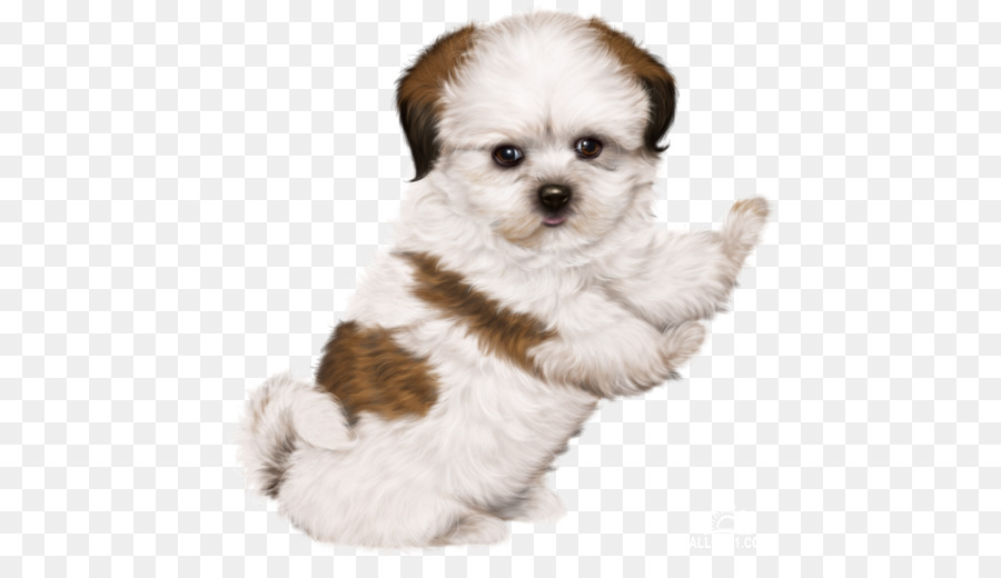 Pequeño Y Lindo Cachorro，Perro PNG