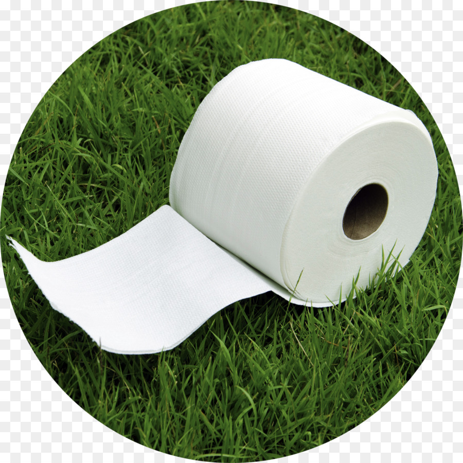 Papel，Papel De Seda PNG