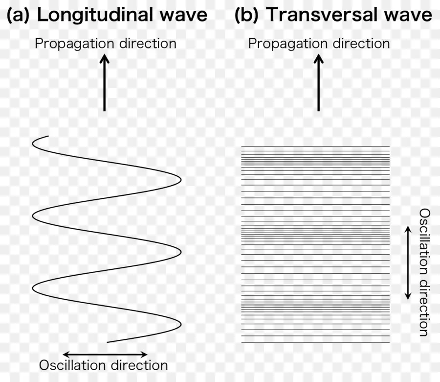 Diagrama De Onda，Longitudinal PNG