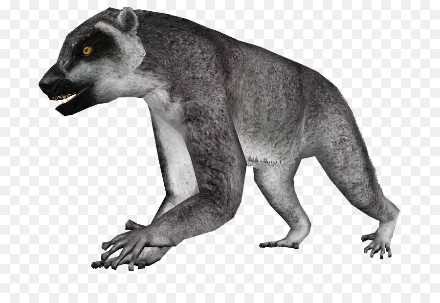 Mapache，Lemur PNG