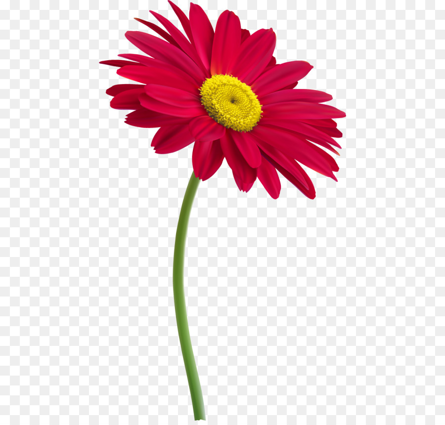 Vástago，Flor PNG