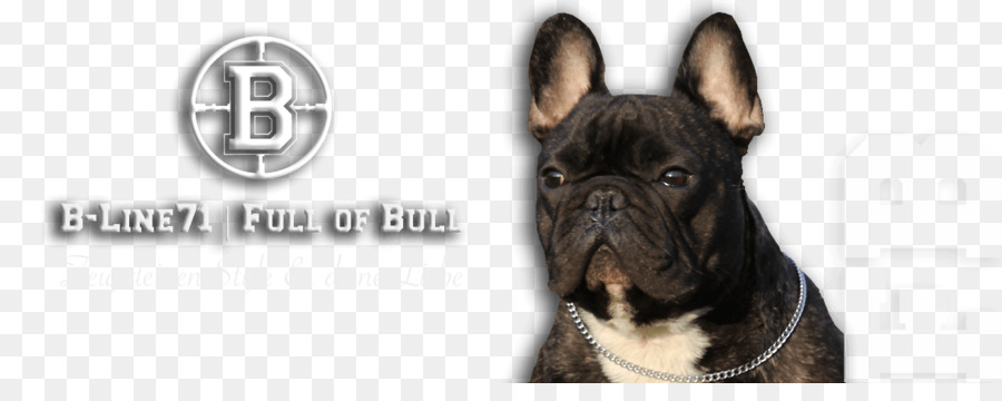 Raza De Perro，Bulldog PNG