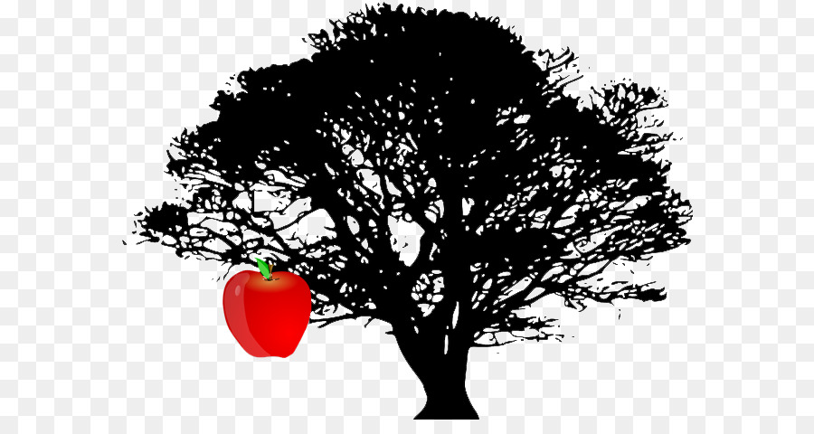 árbol，Dibujo PNG