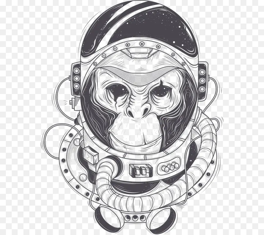 Chimpancé，Astronauta PNG