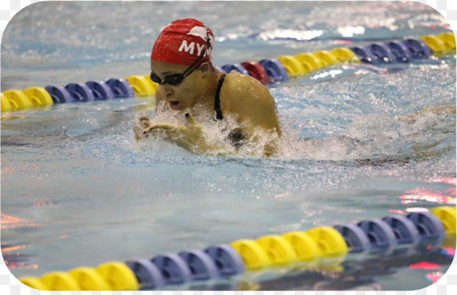 Medley De Natación，Natación En Estilo Libre PNG