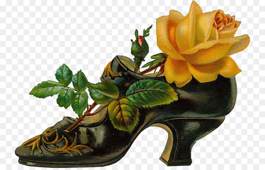 Rosa Amarilla，Zapato PNG