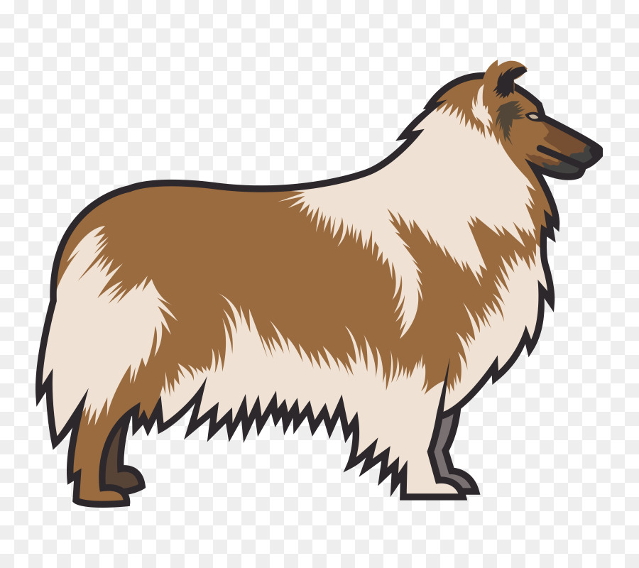 Raza De Perro，Collie PNG