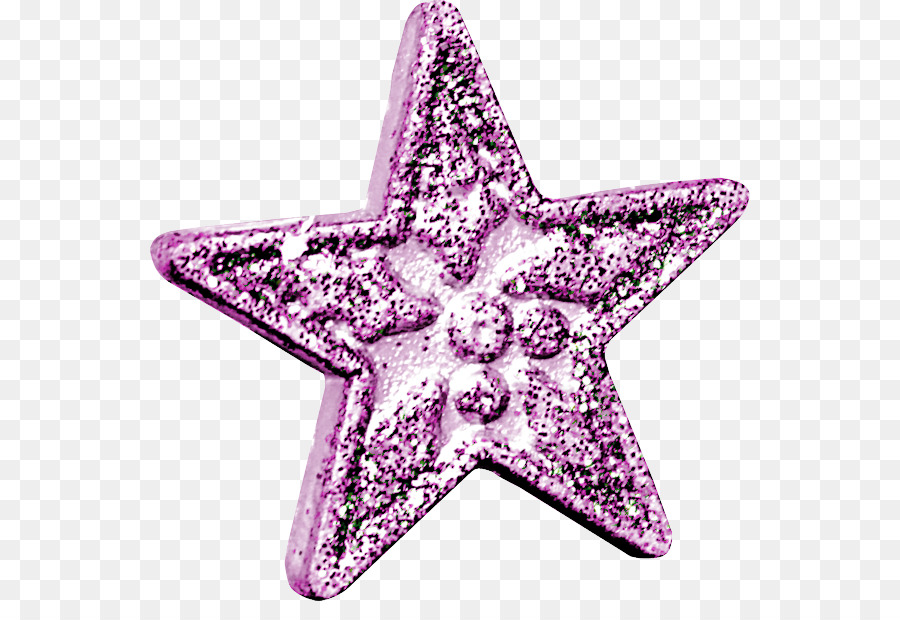 Estrella De Mar，Rosa M PNG