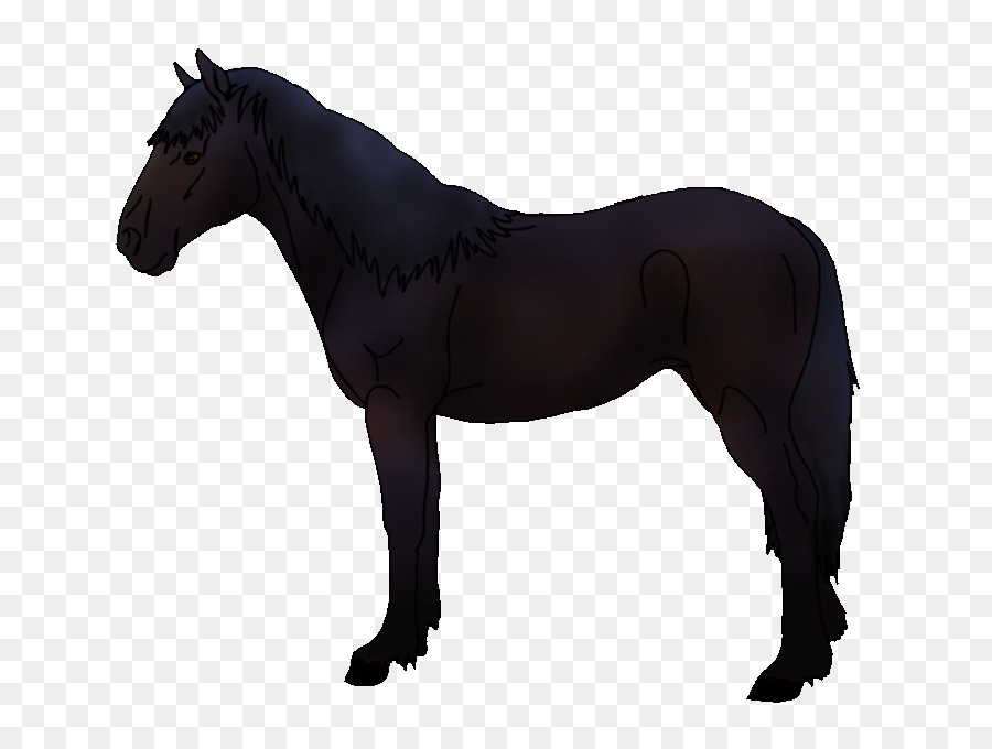 Caballo，Equino PNG