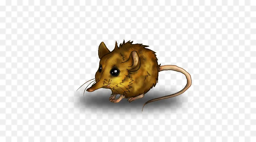 Ratón，Rata PNG