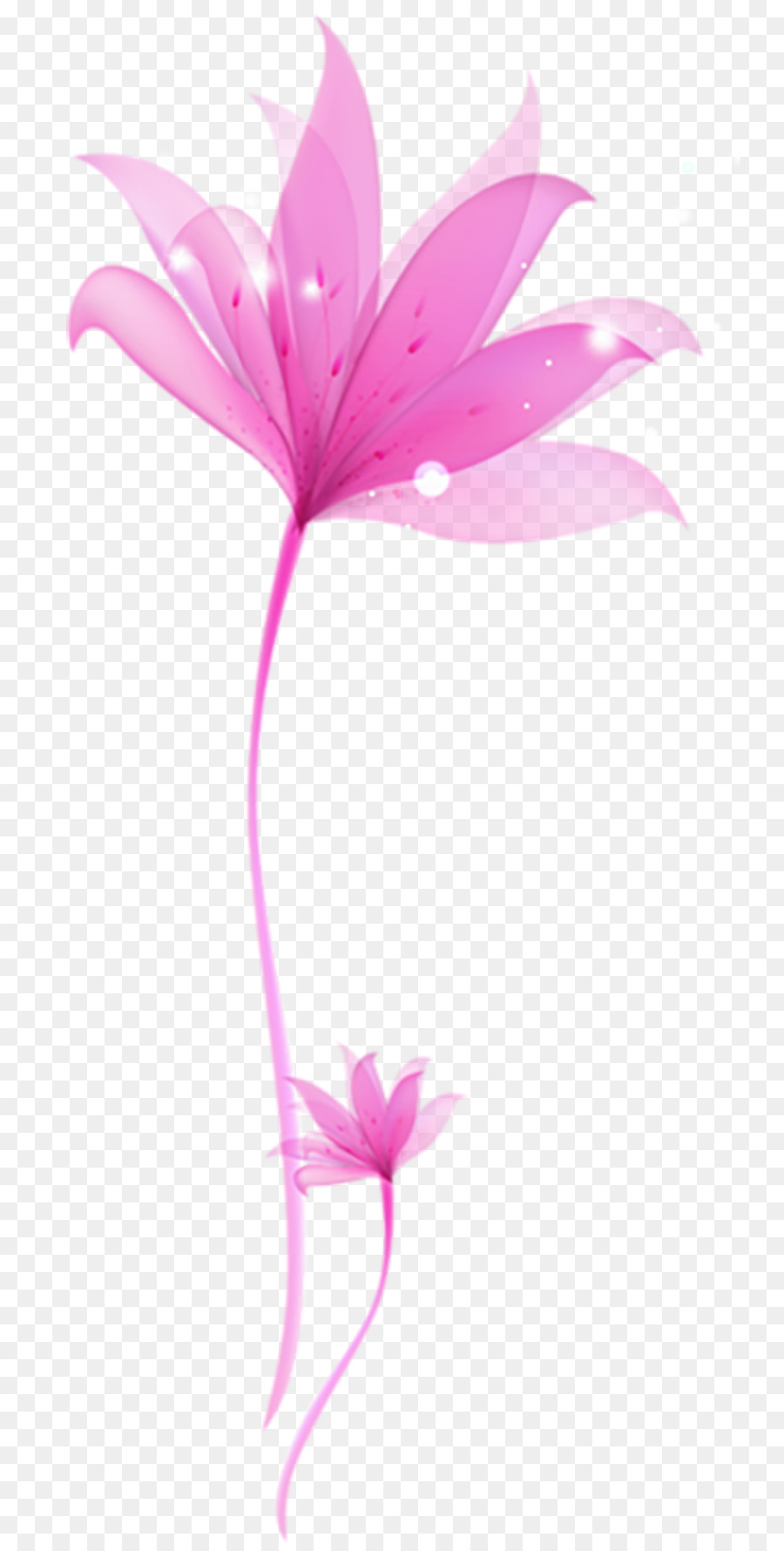 Flor，Azul PNG