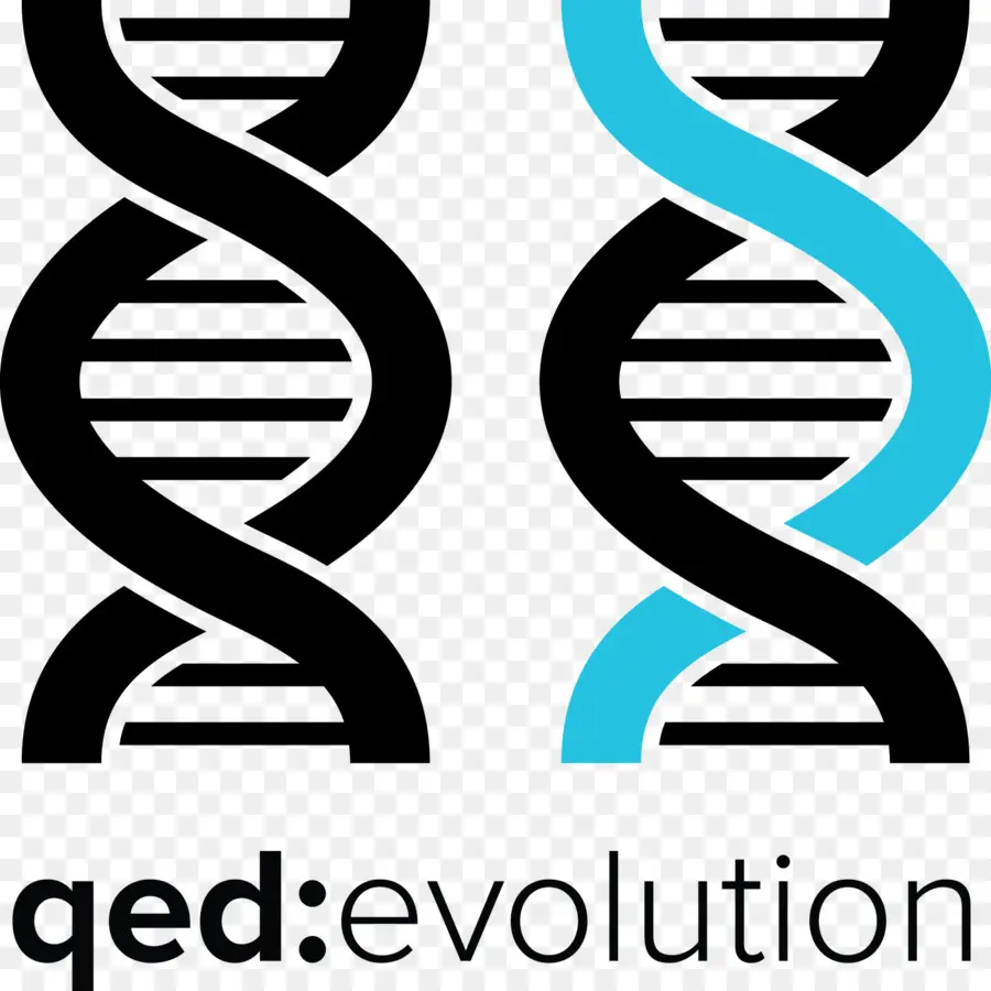 Hélice De Adn，Evolución PNG