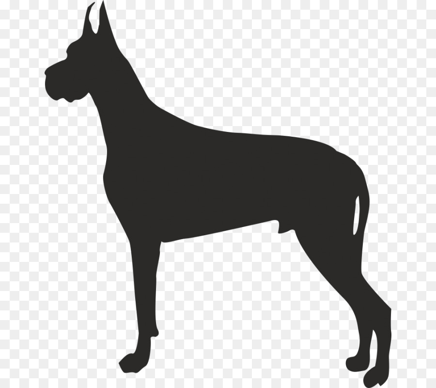 Buldog，Perro Dálmata PNG