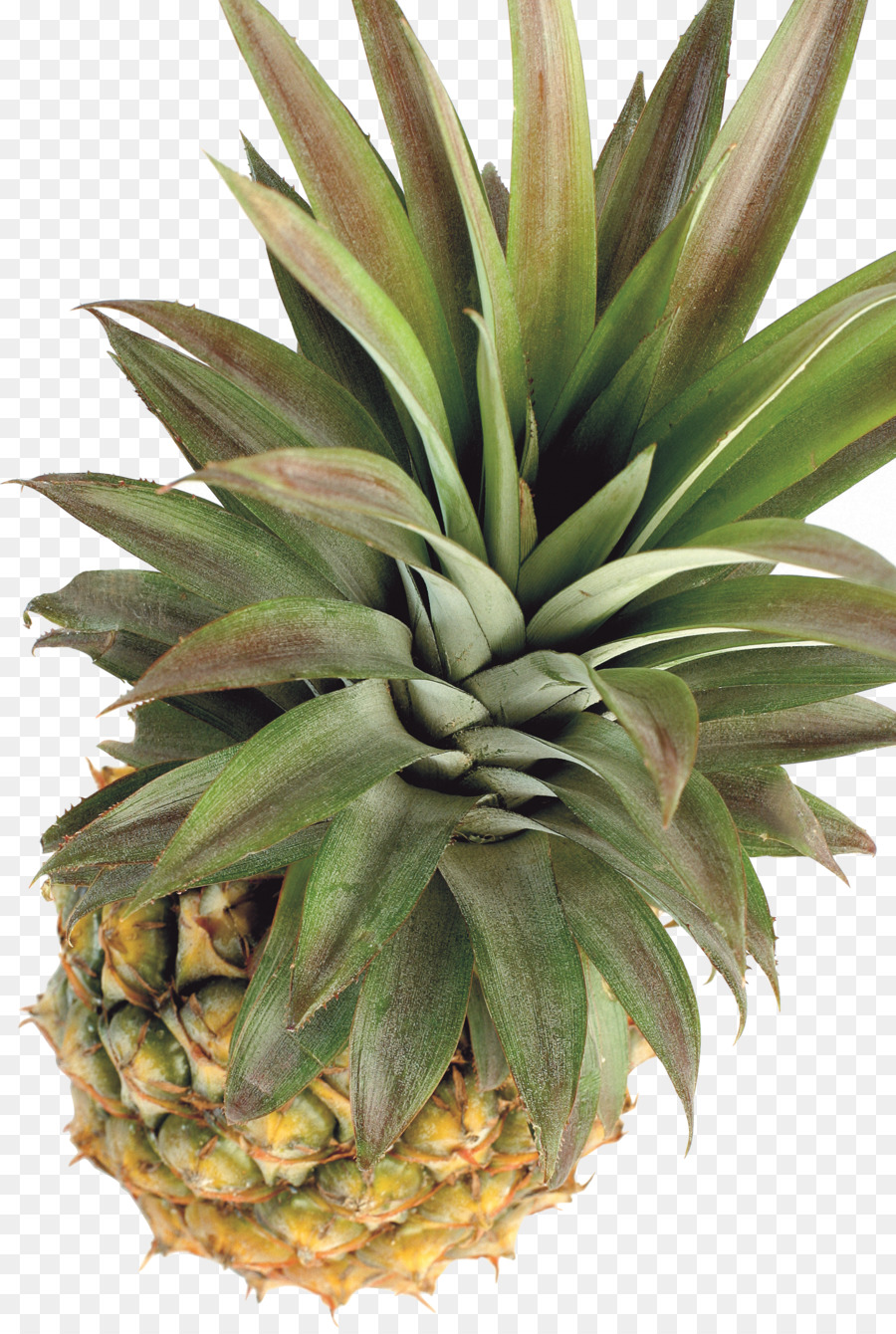 Piña，La Fruta PNG