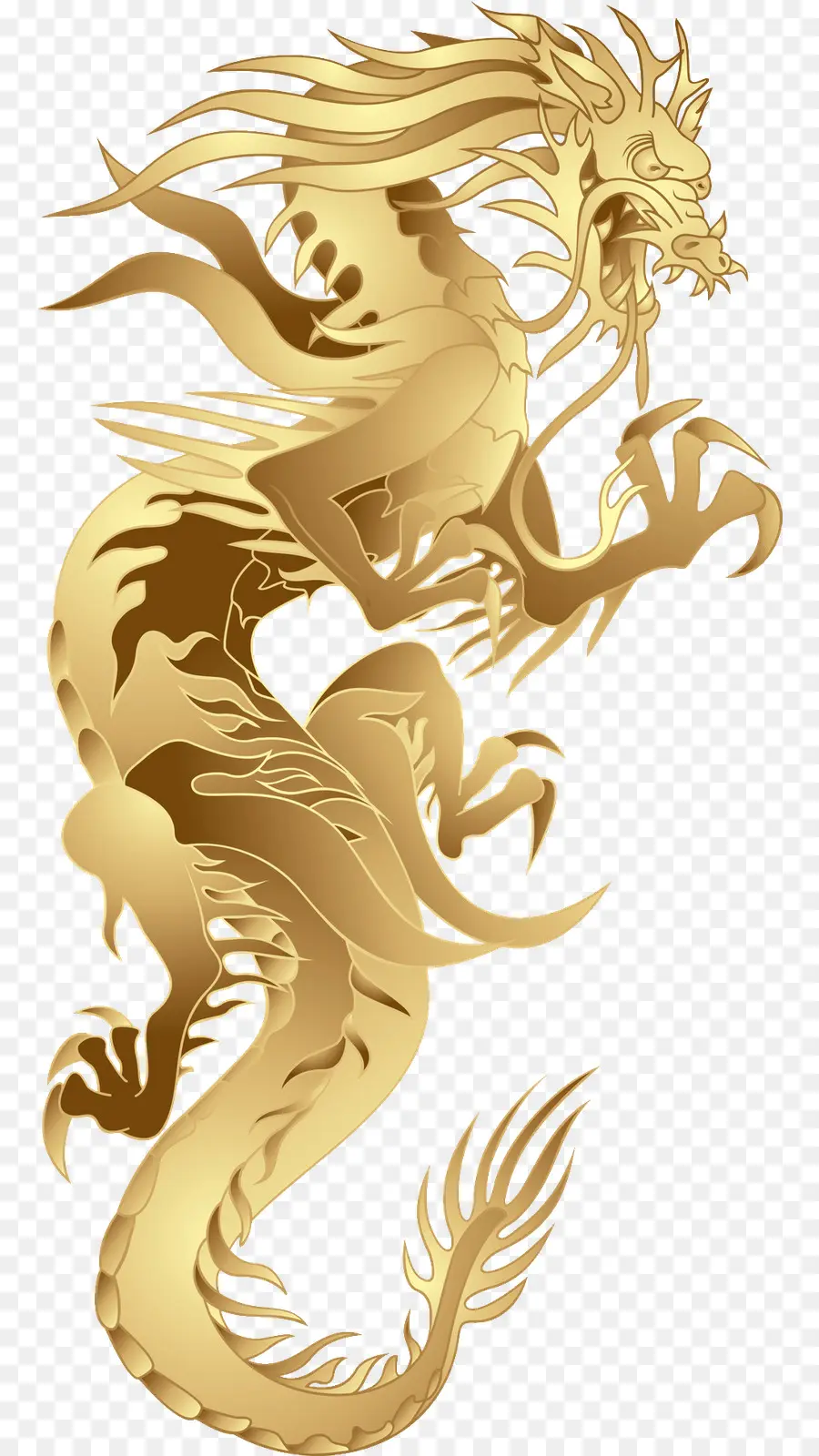 China，Dragón Chino PNG