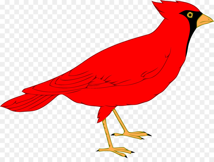 Cardenal Del Norte，St Louis Cardinals PNG