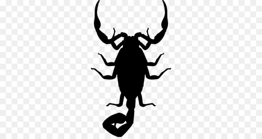 Escorpión，Los Insectos PNG