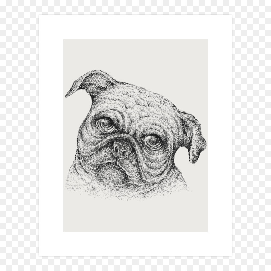 Pug，Cachorro PNG