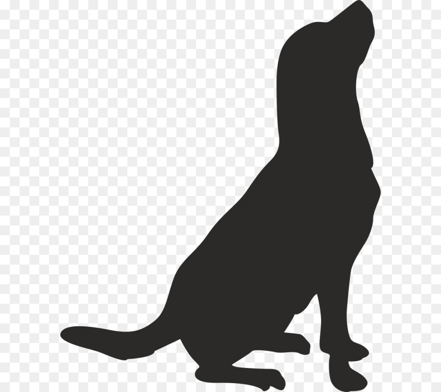 Bigotes，American Pit Bull Terrier PNG