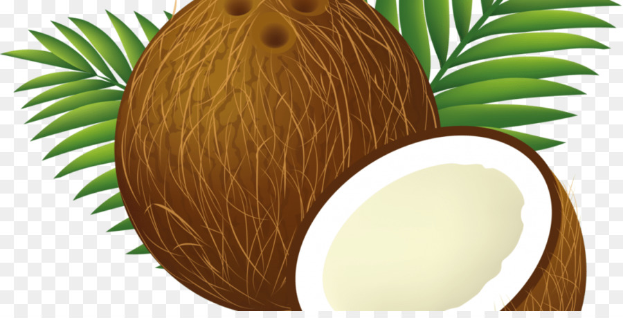 Coco，Arecaceae PNG