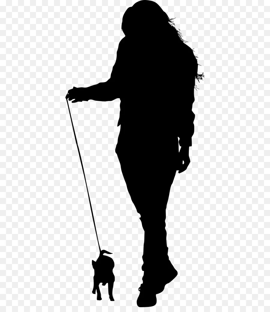 Perro，Pasear Al Perro PNG