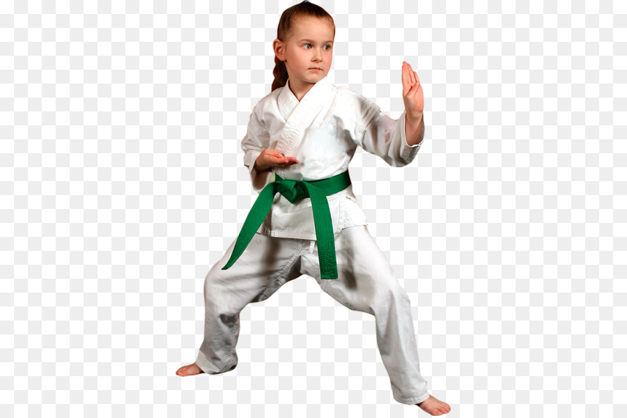 Uniforme De Kárate，Artes Marciales PNG