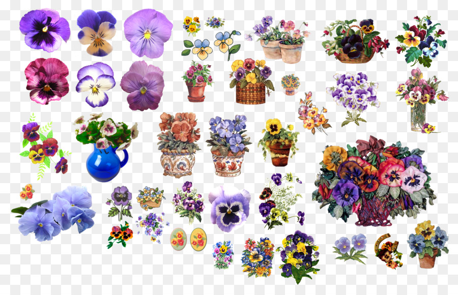 Pansy，Flor PNG