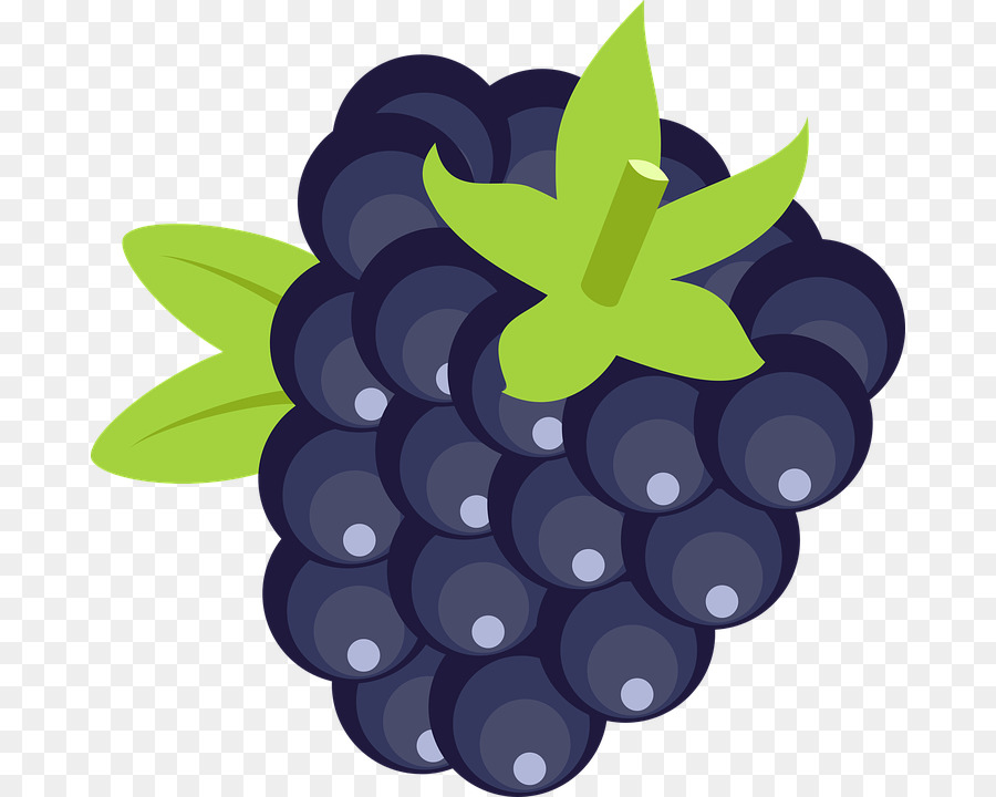 Uvas，Púrpura PNG