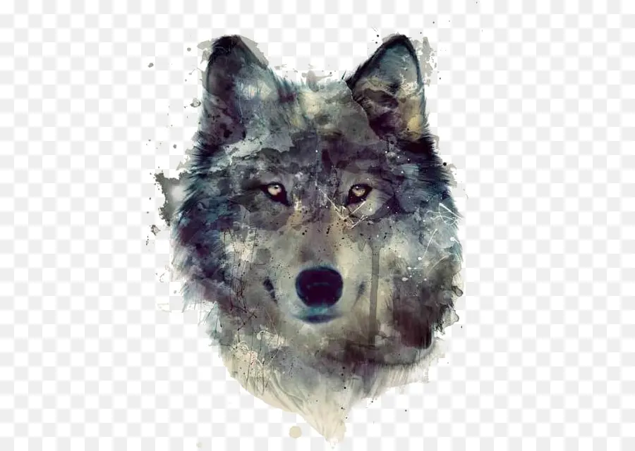 Lobo Gris，Pintura PNG