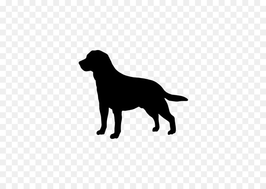 Perro，Mascota PNG