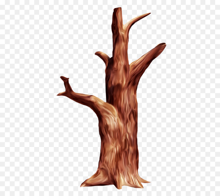 árbol，La Madera PNG