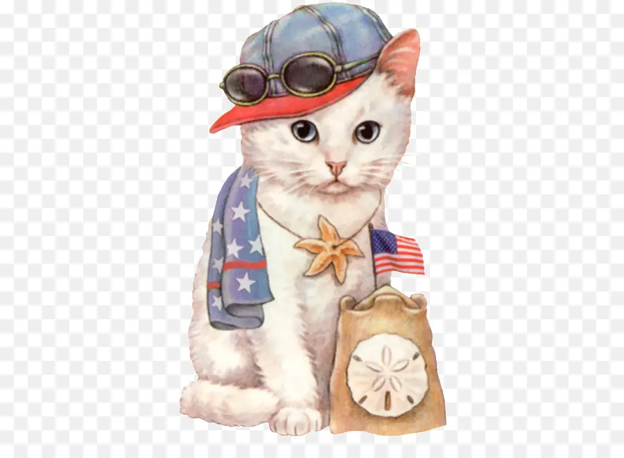 Gato，Gatito PNG