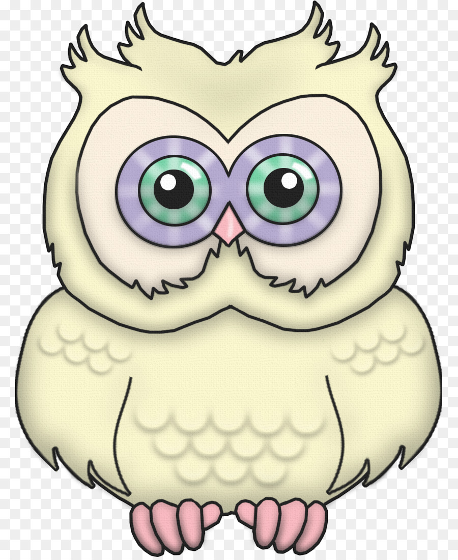 Búho，Snowy Owl PNG