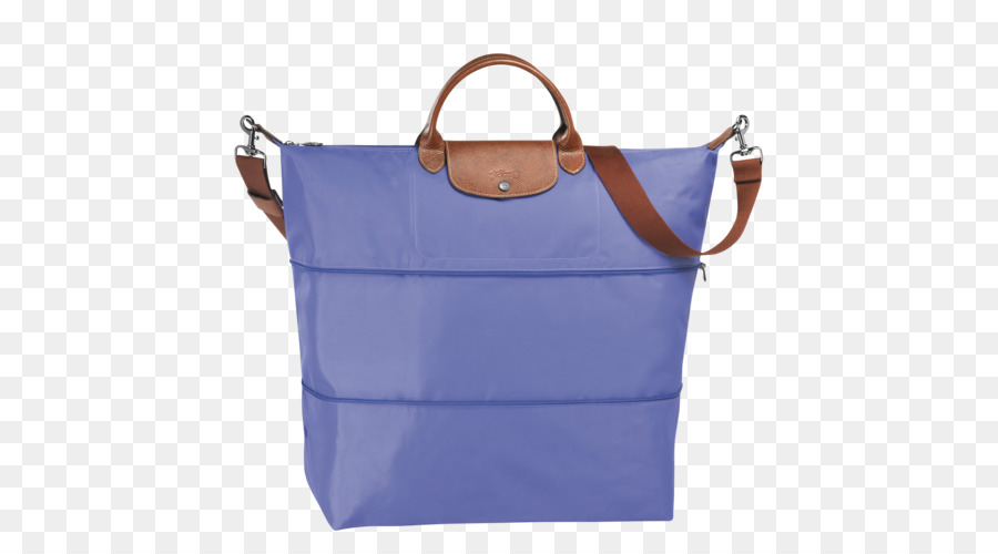 La Bolsa De Asas，Bolso De Mano PNG