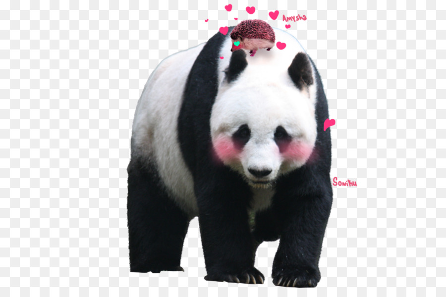 Pixelación，El Panda Gigante PNG