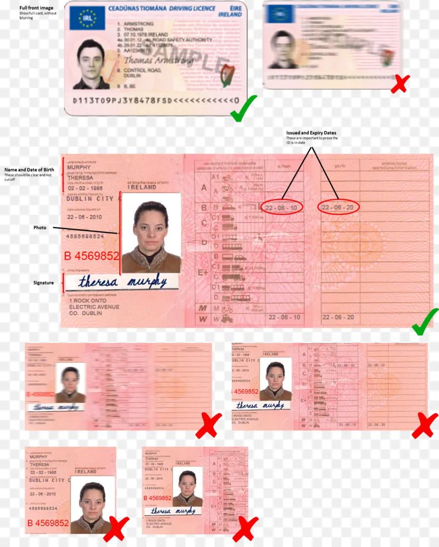 Carnet De Conducir，Licencia PNG