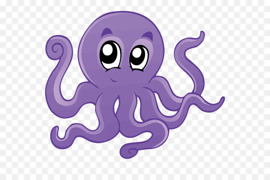 Pulpo，Dibujo PNG