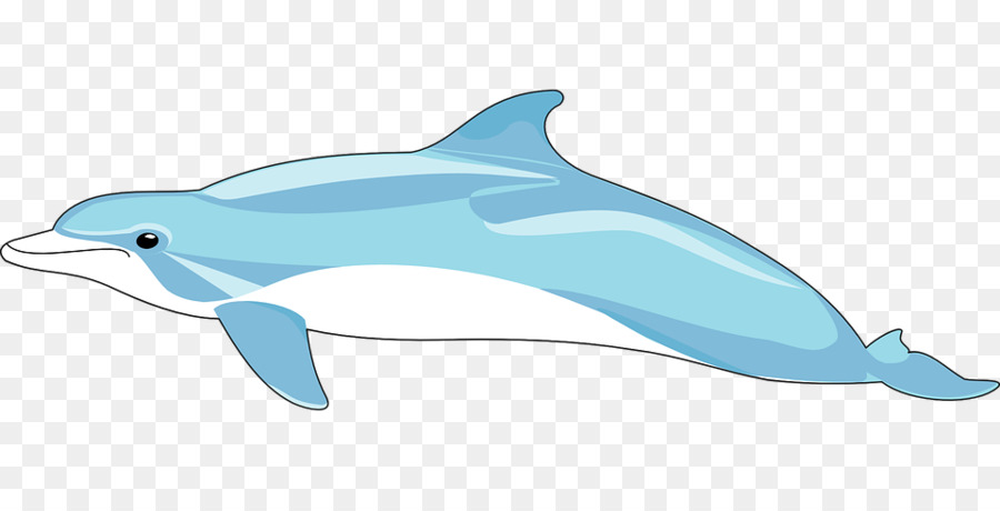 Delfines De Dibujos Animados，Marina PNG