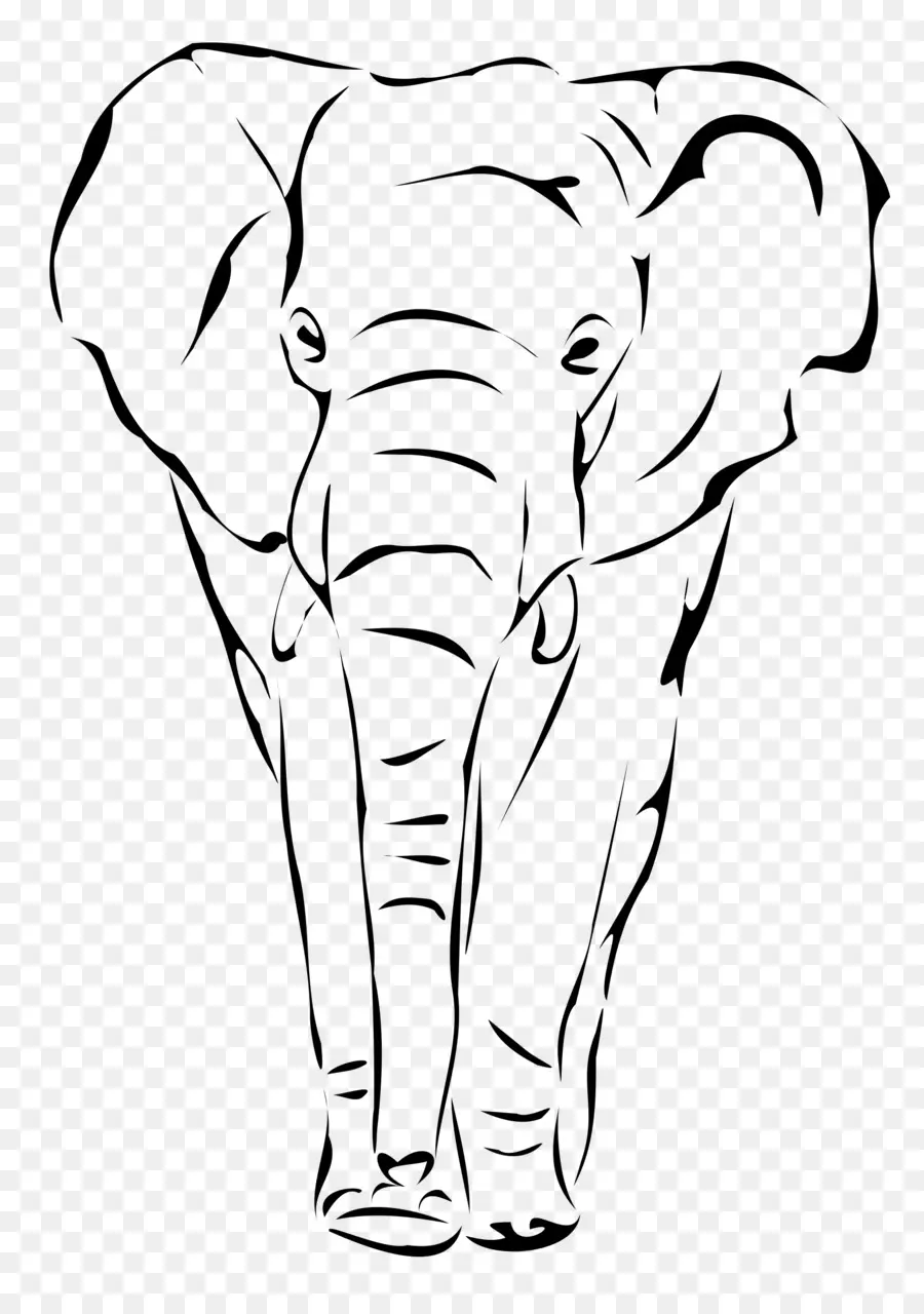 El Elefante Africano，Dibujo PNG