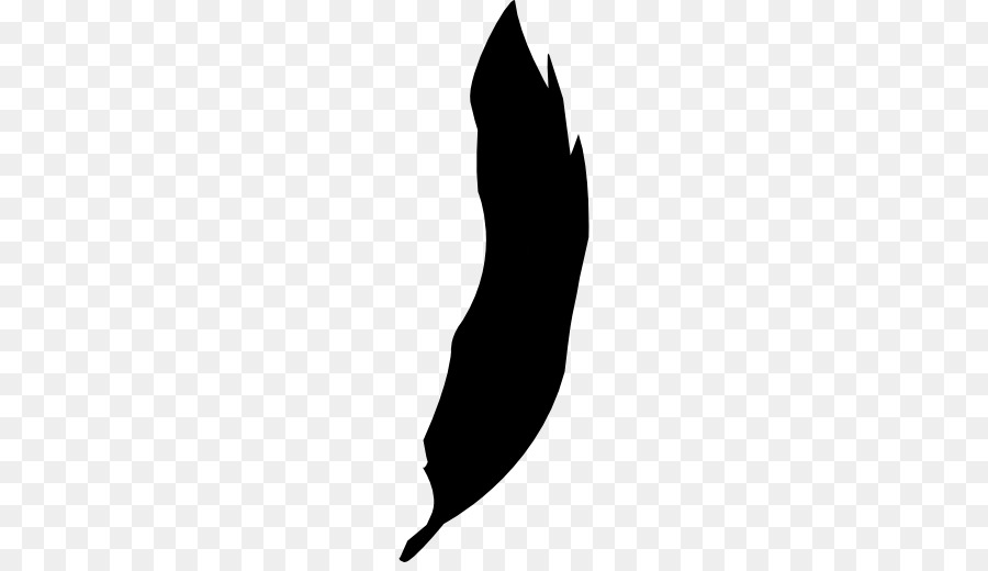 Pájaro，Pluma PNG