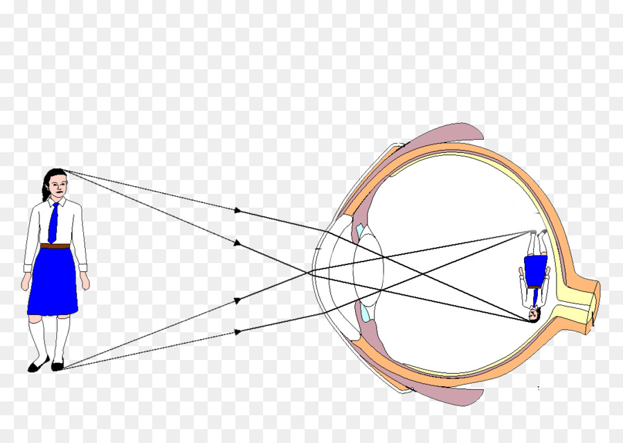 Ojo，Diagrama De PNG