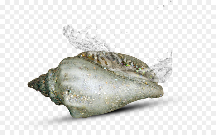 Caracol De Mar，La Concha PNG