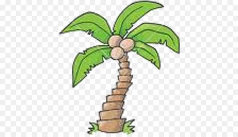 Coco，Arecaceae PNG